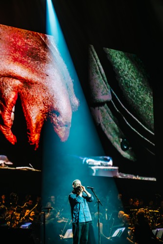 Dit was de eerste De Avond van de Filmmuziek in het Sportpaleis!